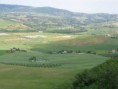 /album/montenero-dorcia-campagna/a12-jpg1/