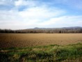 /album/montenero-dorcia-campagna/a37-jpg1/