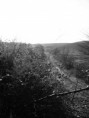 /album/montenero-dorcia-campagna/a41-jpg1/