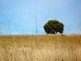 /album/montenero-dorcia-campagna/a48-jpg1/