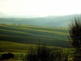 /album/montenero-dorcia-campagna/a50-jpg1/