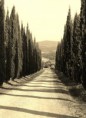 /album/montenero-dorcia-campagna/a54-jpg1/